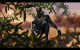 Black_panther