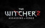 The-witcher-2-assassins-of-kings