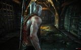 The-witcher-2-screenshot-37