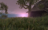 Arcania-wallpaper-13