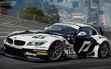 Sbmw_z4_gt3_game