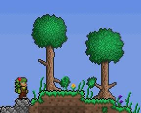 Terraria - Terraria: Флористика