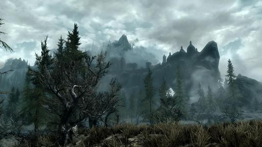 Elder Scrolls V: Skyrim, The - Bethesda: Баги будут в любой крупной игре