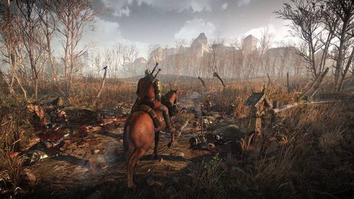 The Witcher 3: Wild Hunt - Подробности открытого мира в The Witcher 3:Wild Hunt